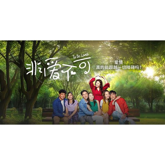 魅影下载视频入口,魅影下载免费版